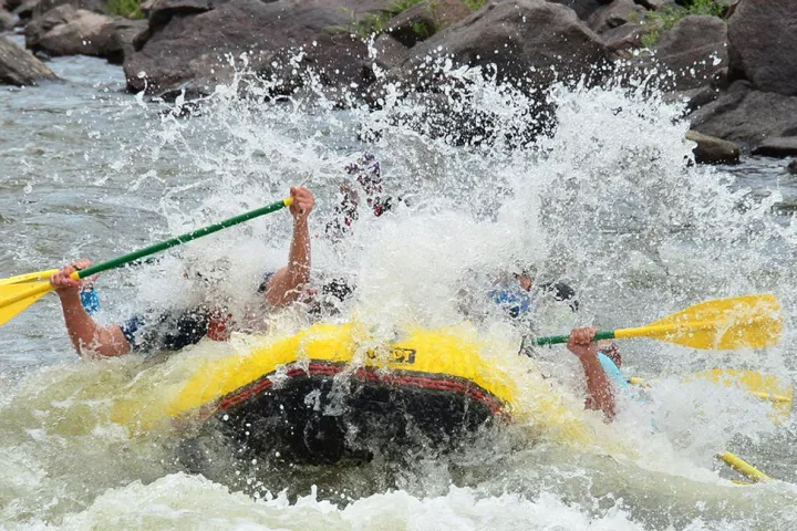 a man riding a wave on a surf board on a body of water